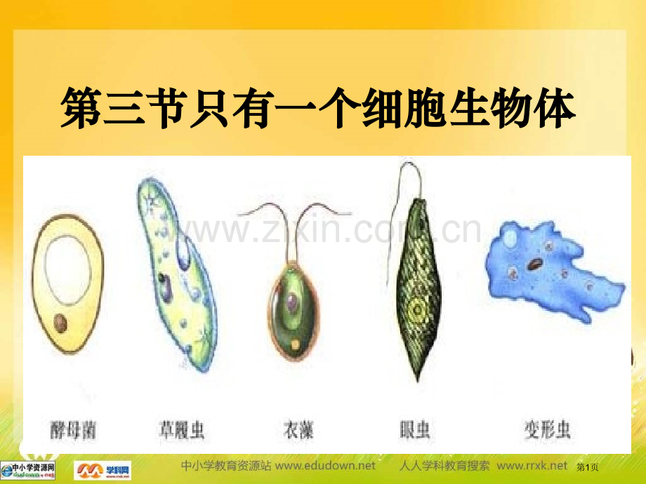 人教版生物七上只有一个细胞的生物体省公共课一等奖全国赛课获奖课件.pptx_第1页