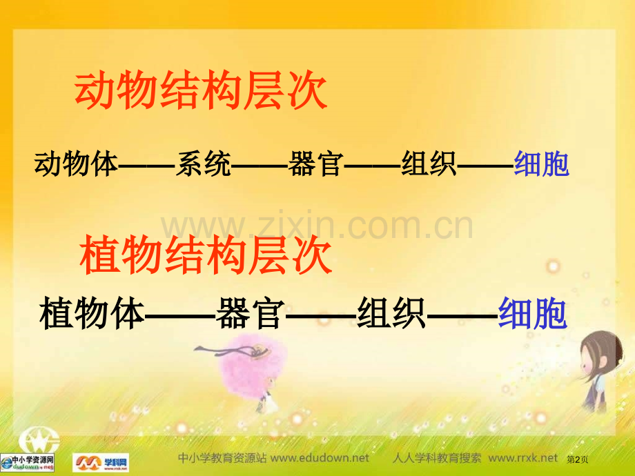 人教版生物七上只有一个细胞的生物体省公共课一等奖全国赛课获奖课件.pptx_第2页