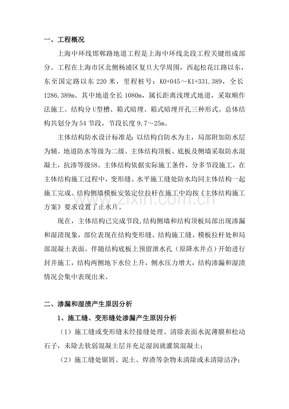 渗漏处理专业方案.doc_第2页