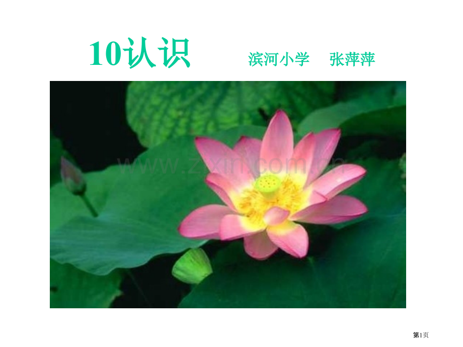 新人教版一年级上册10的认识2市公开课一等奖百校联赛特等奖课件.pptx_第1页