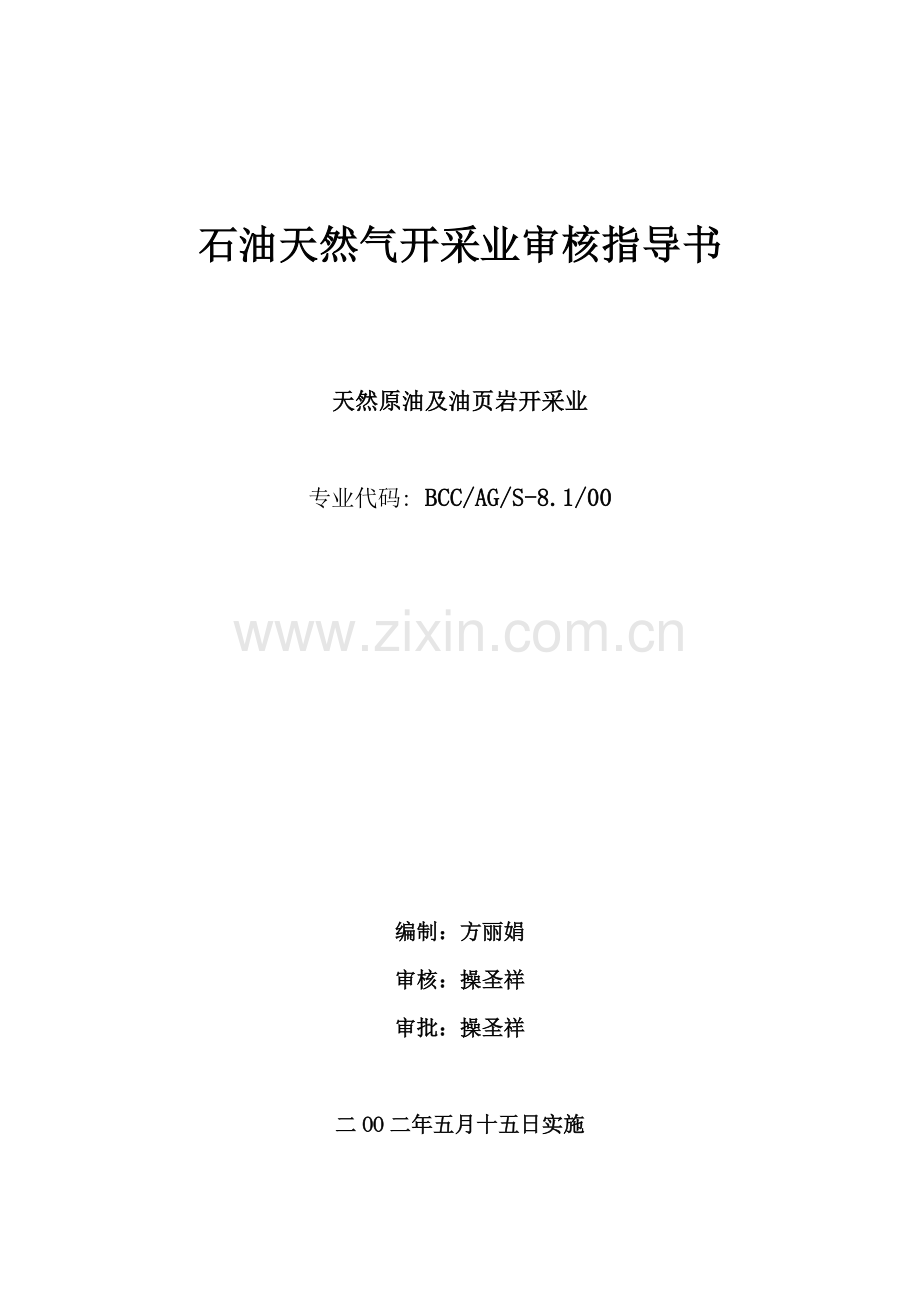 石油天然气开采技术标准审指导书样本.doc_第1页