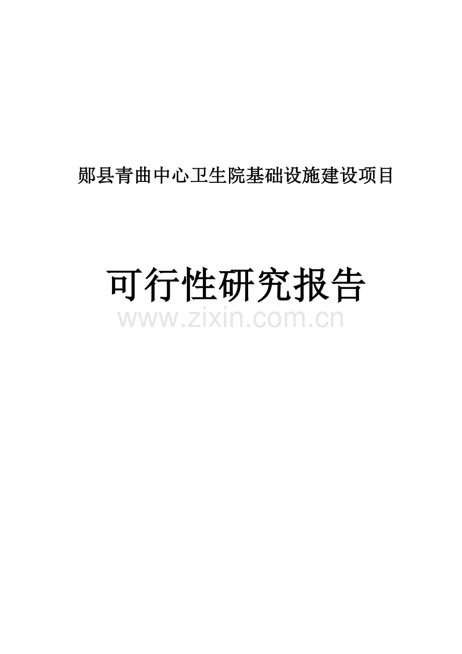 中心卫生院基础设施建设项目可行性研究报告书.doc_第1页