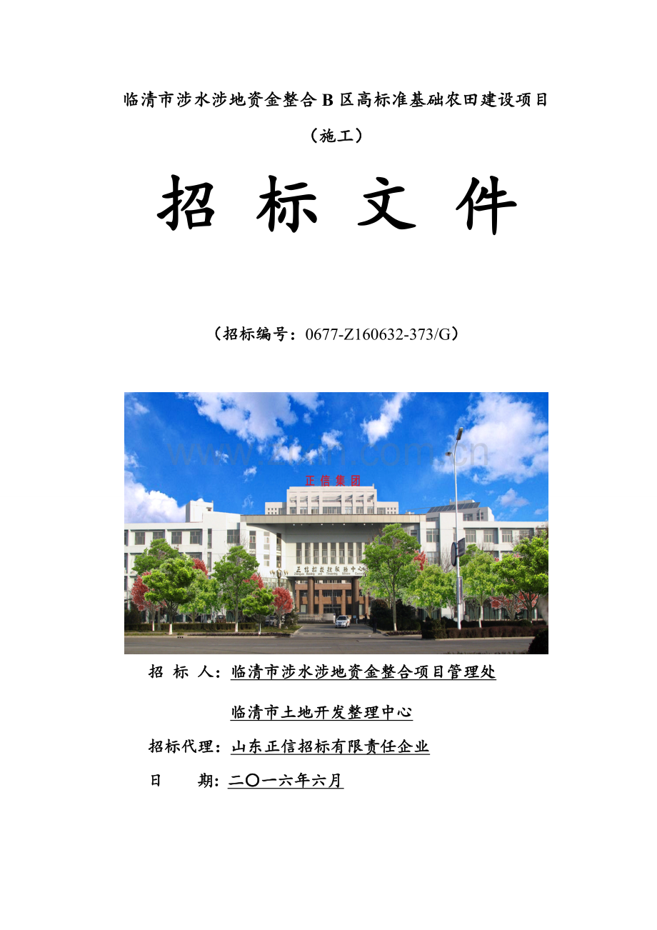 高标准基本农田建设项目招标文件模板.doc_第1页