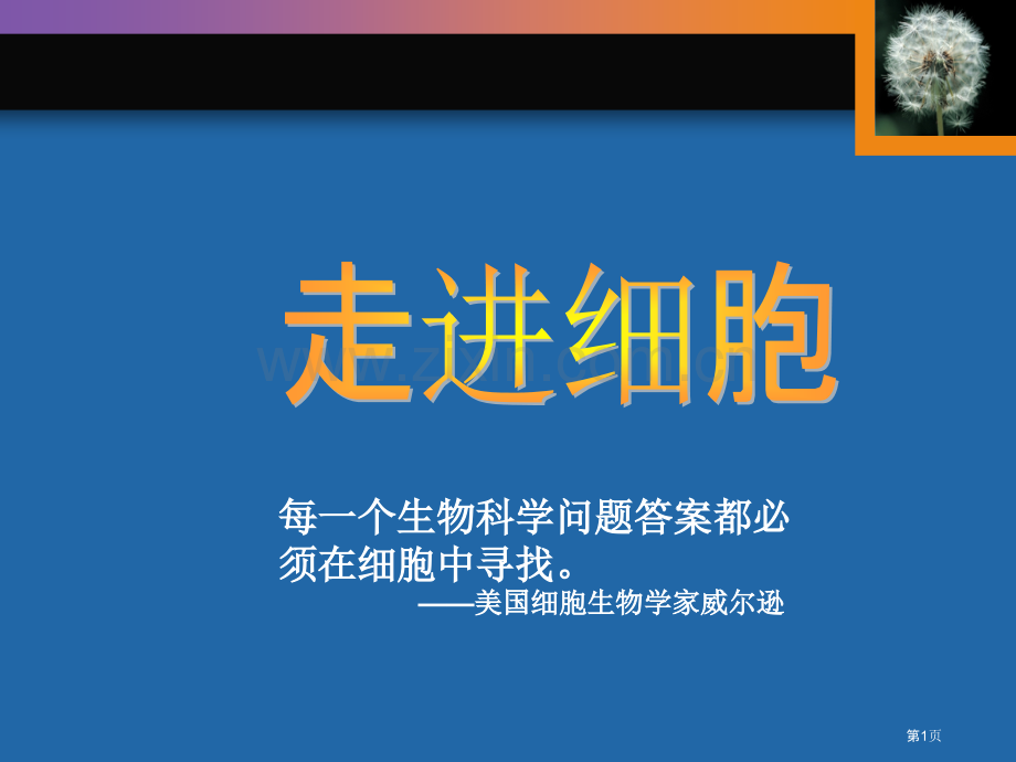 生物必修一专业知识讲座省公共课一等奖全国赛课获奖课件.pptx_第1页