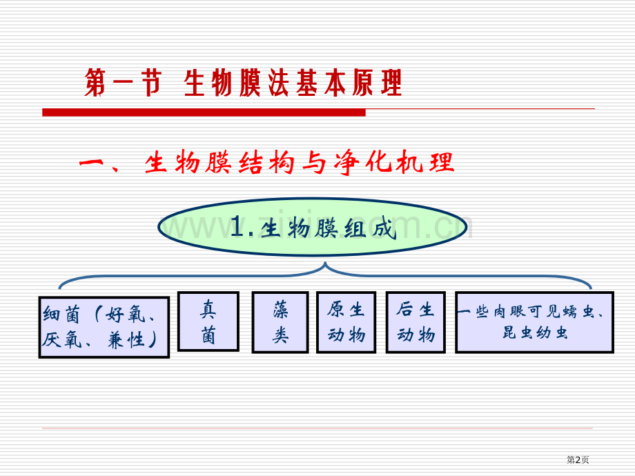 污水的好氧生物处理一生物膜法市公开课一等奖百校联赛特等奖课件.pptx_第2页