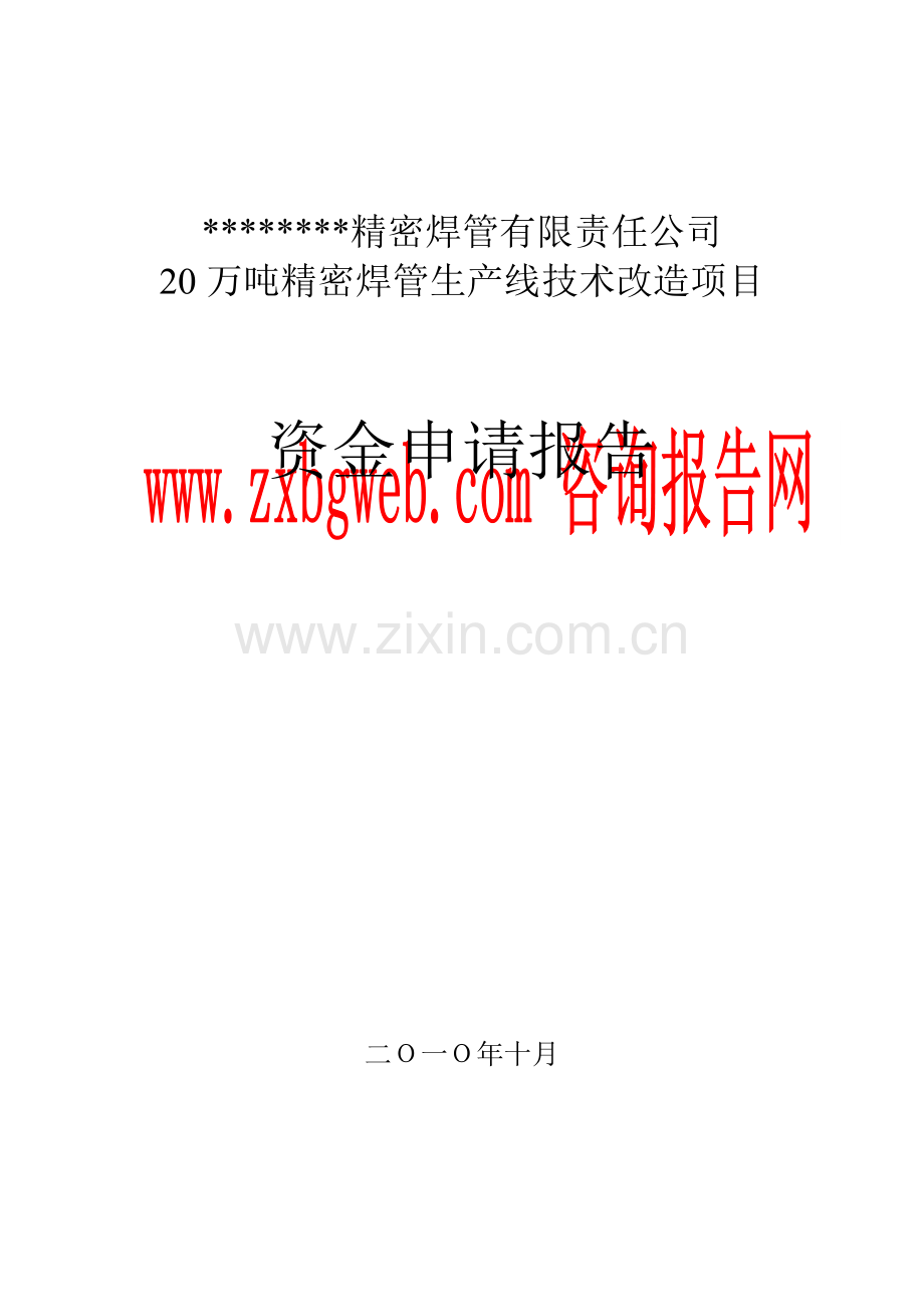 20万吨精密焊管生产线技术改造项目资金申请报告.doc_第1页