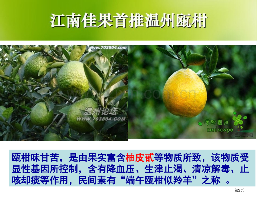 生物的变异复习市公开课一等奖百校联赛特等奖课件.pptx_第2页