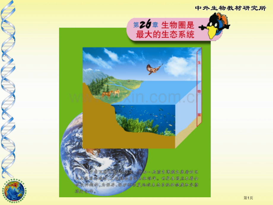 生物圈中的各种生态系统省公共课一等奖全国赛课获奖课件.pptx_第1页