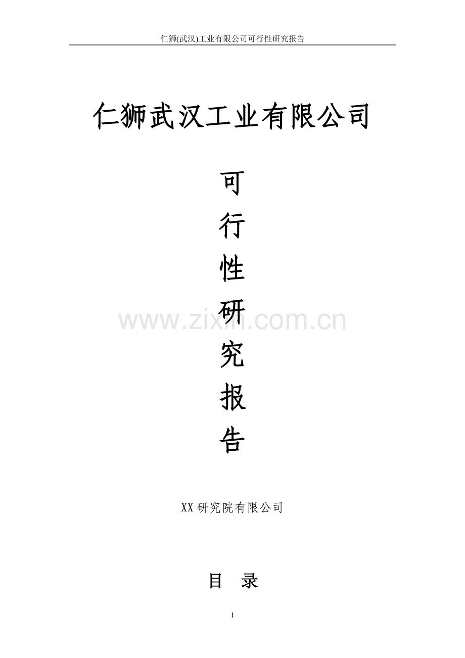 仁狮武汉工业有限公司可行性研究报告.doc_第1页
