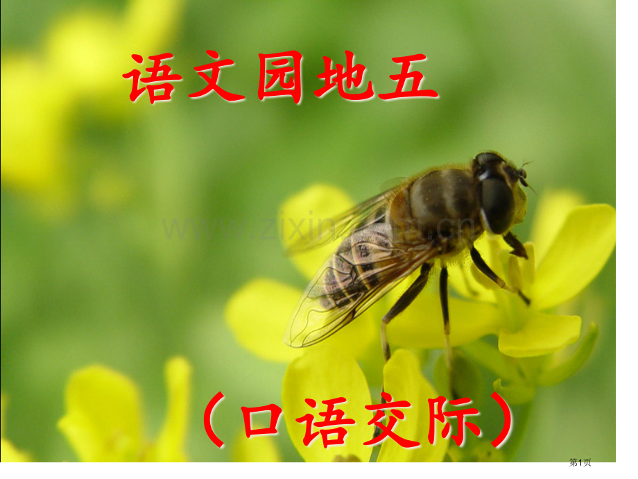 语文园地五口语交际省公共课一等奖全国赛课获奖课件.pptx_第1页