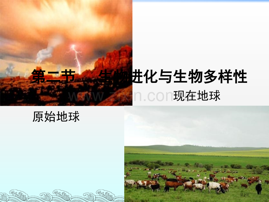 生物进化和生物多样性省公共课一等奖全国赛课获奖课件.pptx_第2页