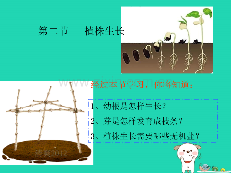 七年级生物上册3.2.2植株的生长教案市公开课一等奖百校联赛特等奖大赛微课金奖PPT课件.pptx_第1页