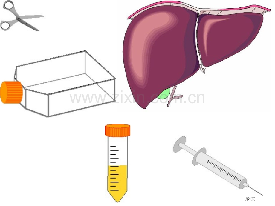 生物化学与分子生物学ppt图片素材scienceslide省公共课一等奖全国赛课获奖课件.pptx_第1页