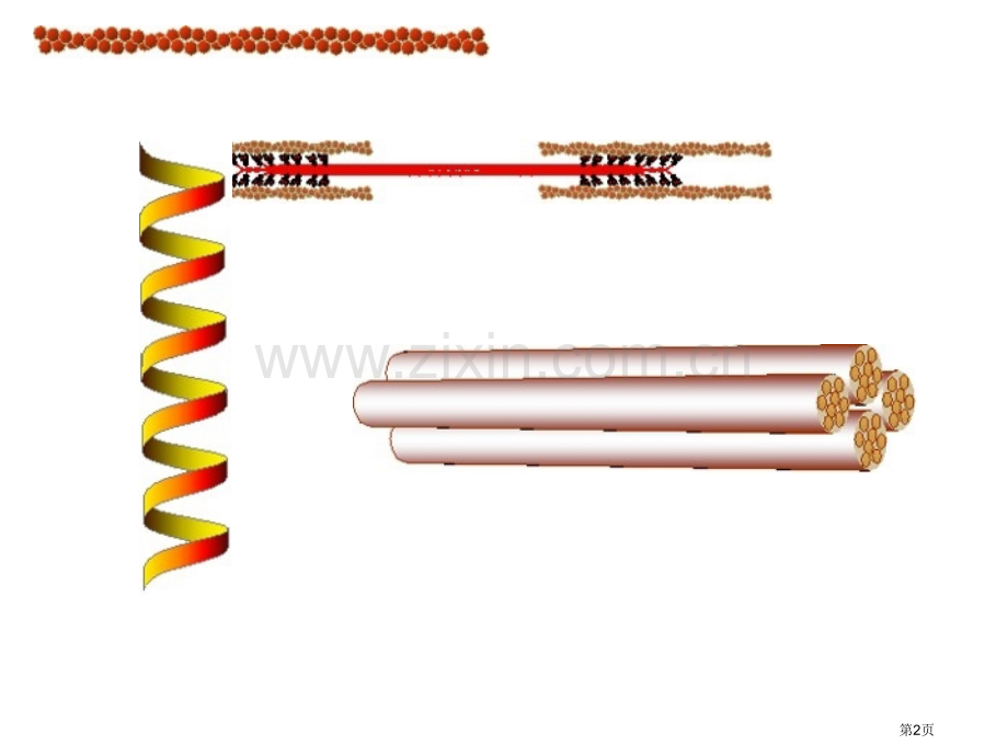 生物化学与分子生物学ppt图片素材scienceslide省公共课一等奖全国赛课获奖课件.pptx_第2页