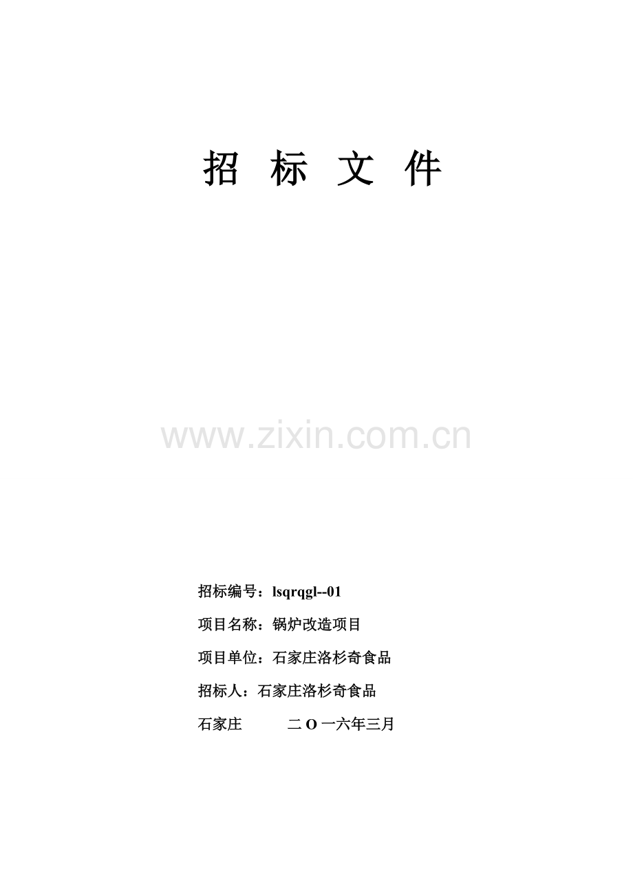 锅炉改造项目招标文件模板.doc_第1页