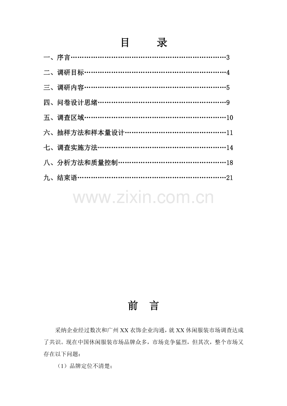 caina调查专项方案模板.doc_第2页