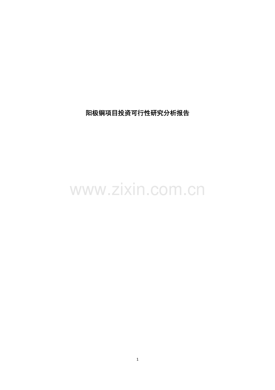 阳极铜项目建设可行性研究报告.doc_第1页