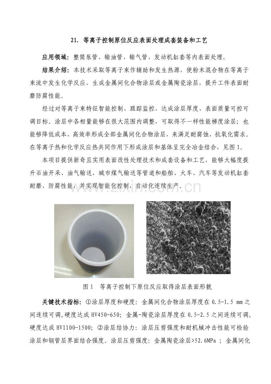 等离子控制原位反应表面处理成套装备与工艺模板.doc_第1页