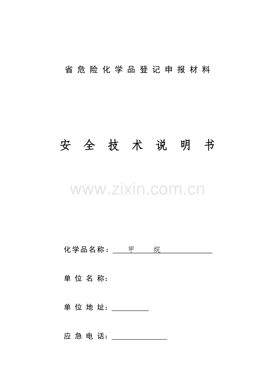 甲烷安全核心技术新版说明书.doc_第1页