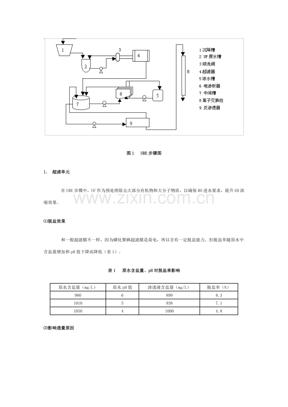 超滤反渗透电渗析组合工艺模板.doc_第2页
