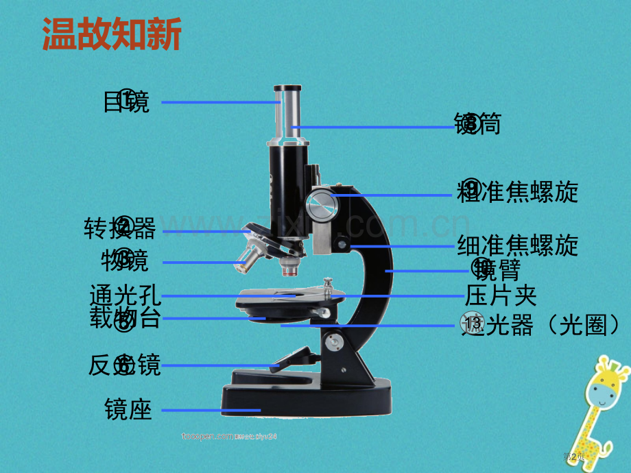 七年级生物上册2.1.1练习使用显微镜讲义2市公开课一等奖百校联赛特等奖大赛微课金奖PPT课件.pptx_第2页