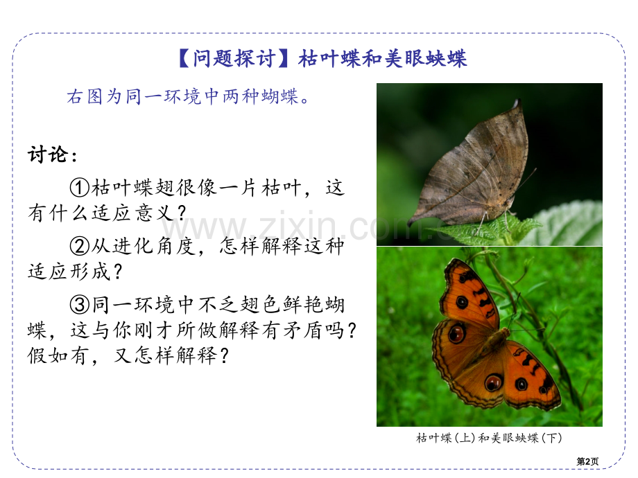 生物进化学说省公共课一等奖全国赛课获奖课件.pptx_第2页