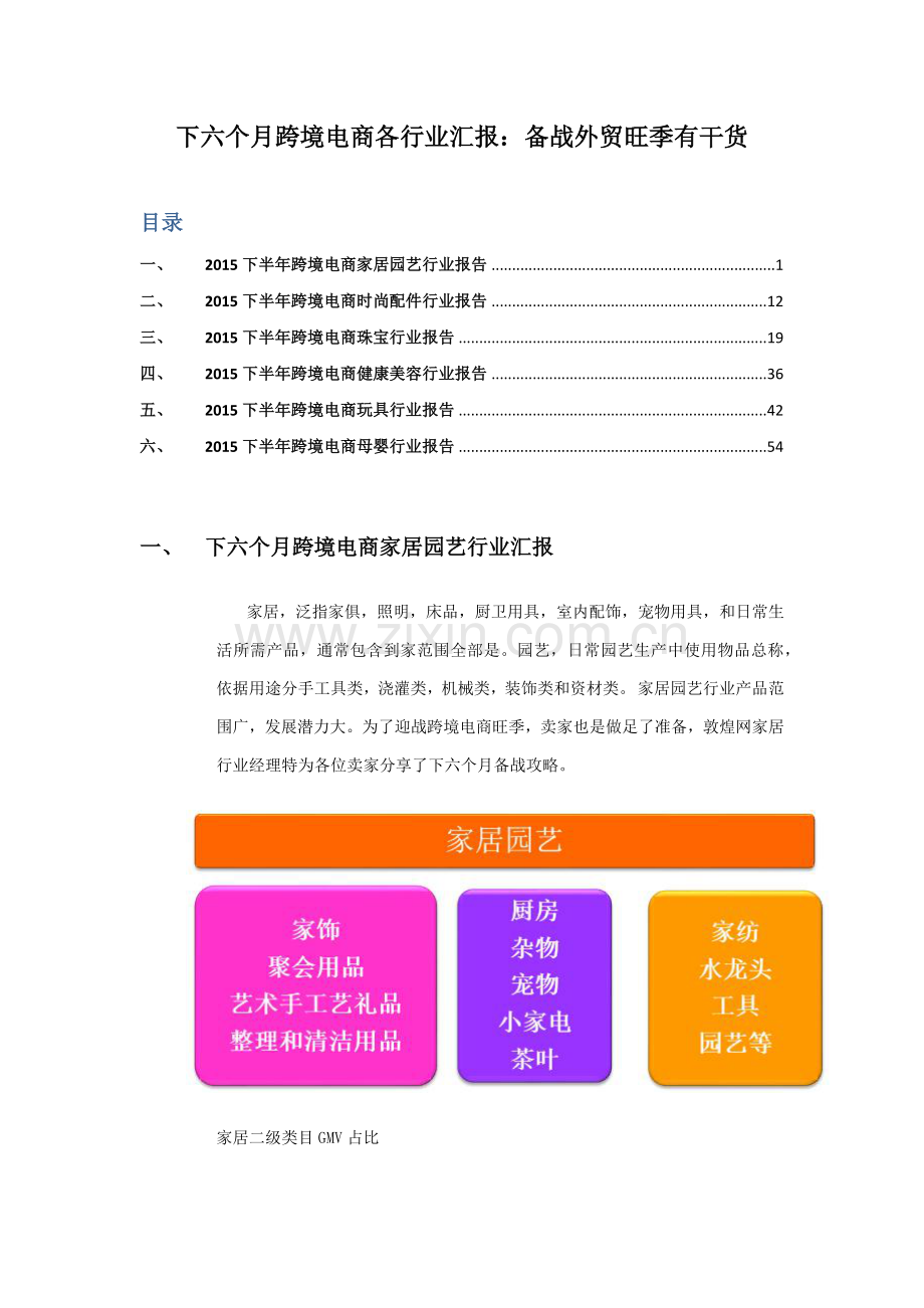 跨境电商各行业报告X模板.docx_第1页