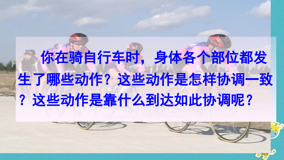 七年级生物下册4.6.2神经系统的组成讲义市公开课一等奖百校联赛特等奖大赛微课金奖PPT课件.pptx_第2页