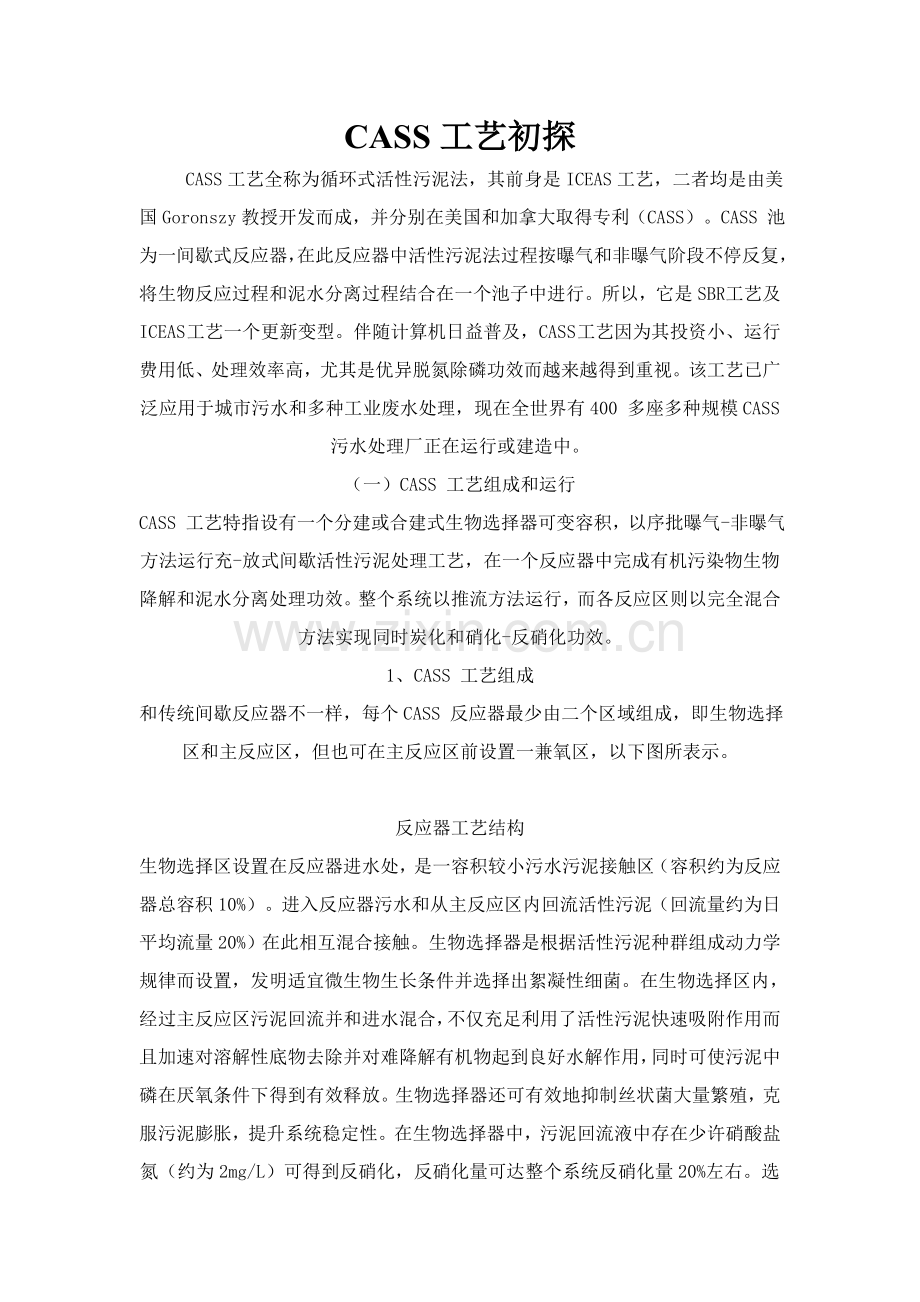 CASS工艺初探模板.doc_第1页