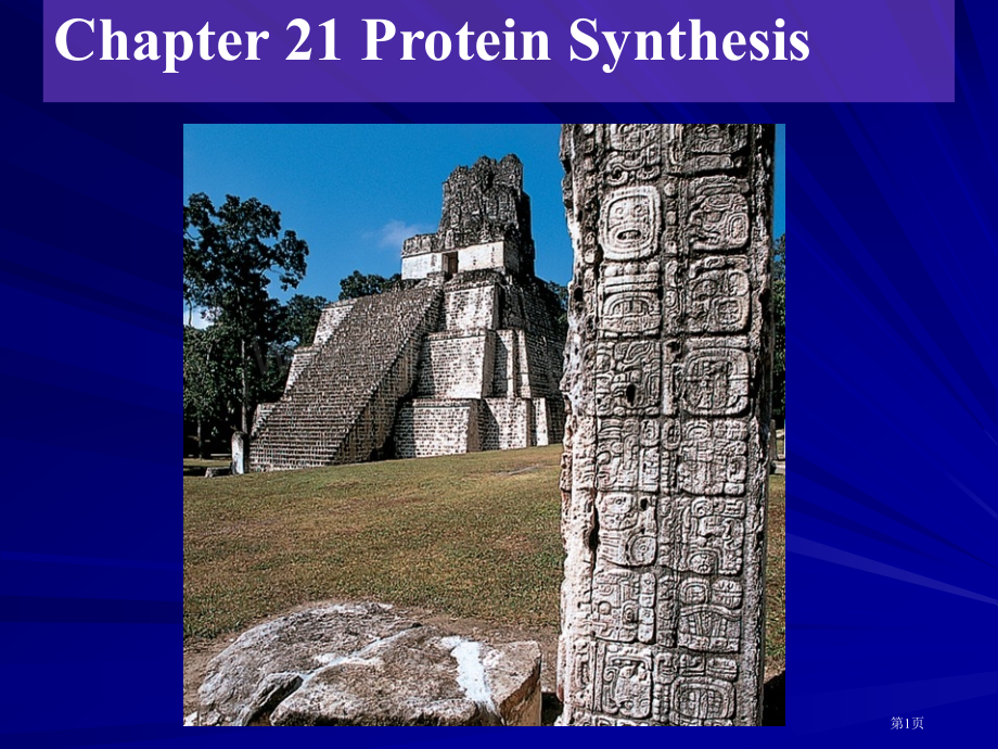 生物化学Chapter-21-Protein-Synthesis省公共课一等奖全国赛课获奖课件.pptx_第1页