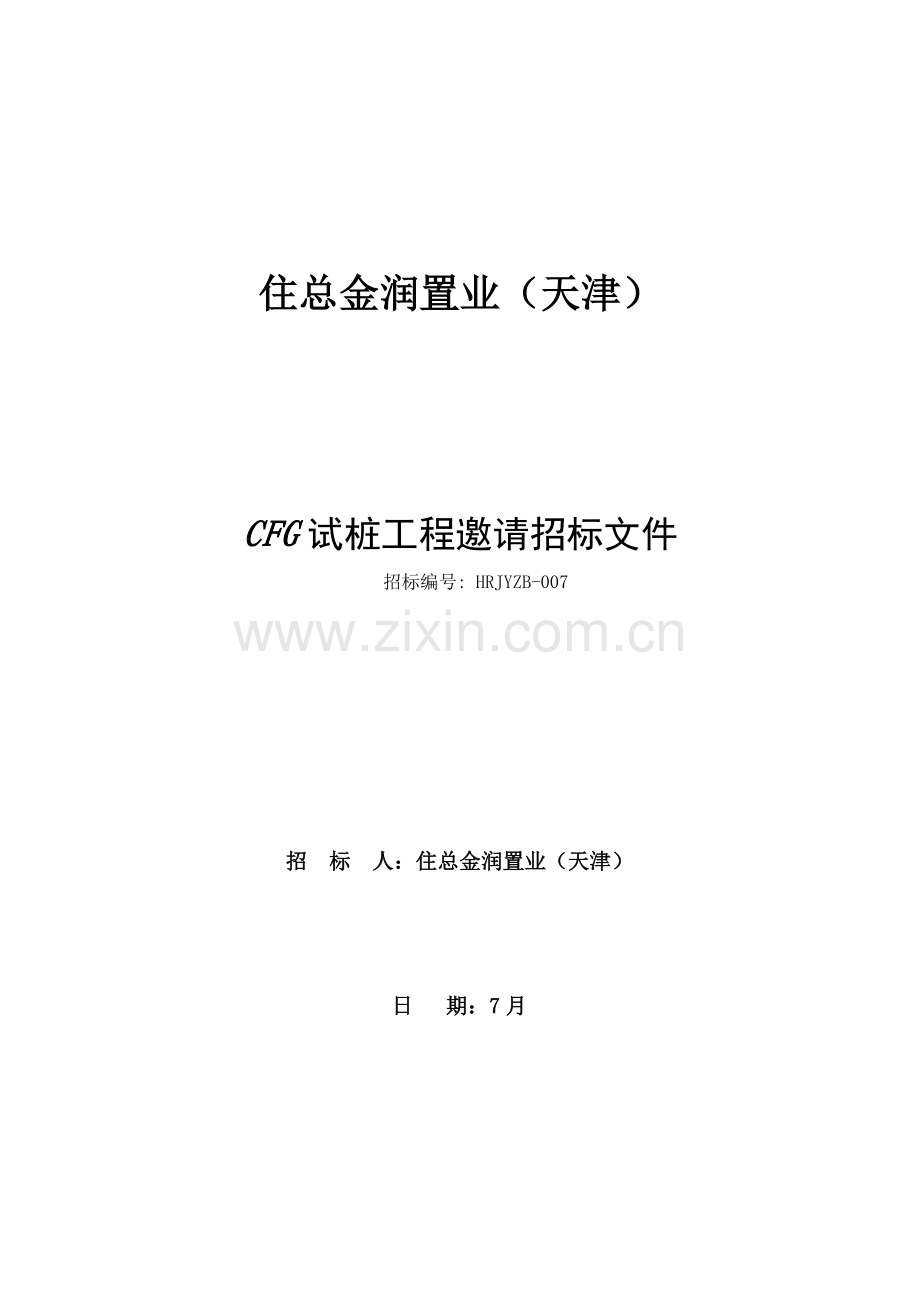 置业公司CFG桩试工程招标文件模板.doc_第1页