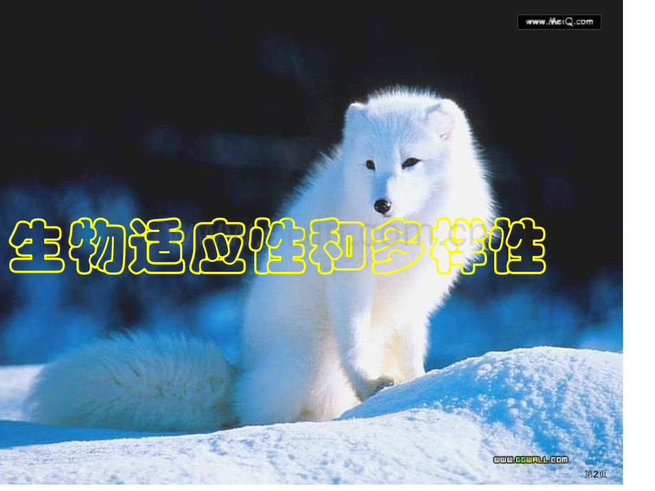 生物的适应性和多样性省公共课一等奖全国赛课获奖课件.pptx_第2页