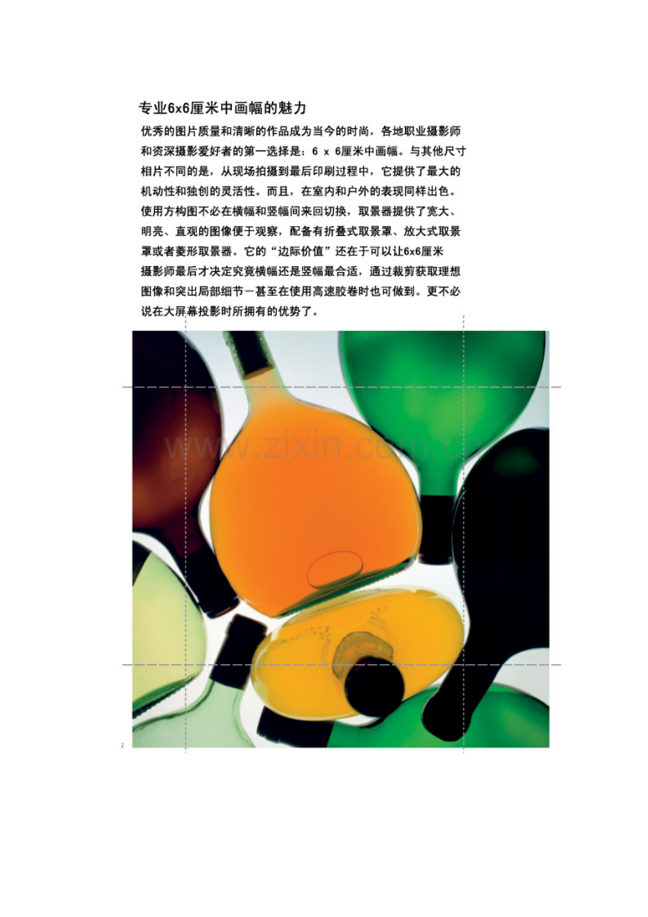 禄来说明指导书专业资料.doc_第2页