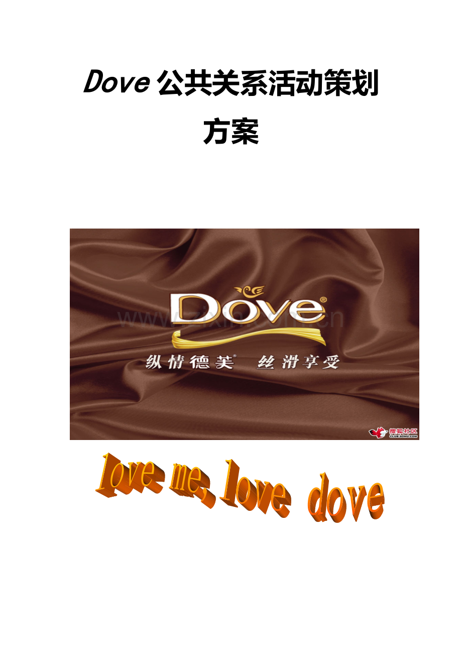Dove公关关系活动专业策划案.doc_第2页