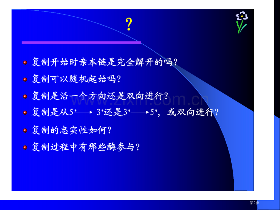 分子生物学本DNA的复制和转座省公共课一等奖全国赛课获奖课件.pptx_第2页