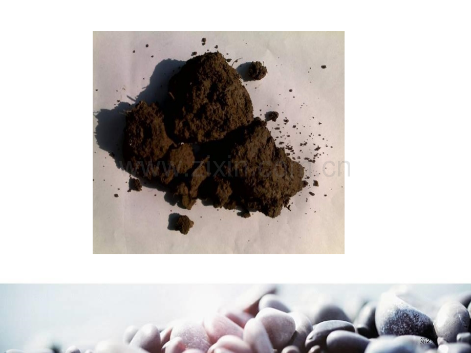 土壤里有什么课件省公开课一等奖新名师优质课比赛一等奖课件.pptx_第2页