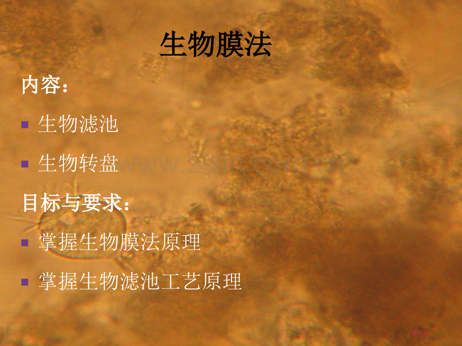 生物膜法原理和应用省公共课一等奖全国赛课获奖课件.pptx_第1页