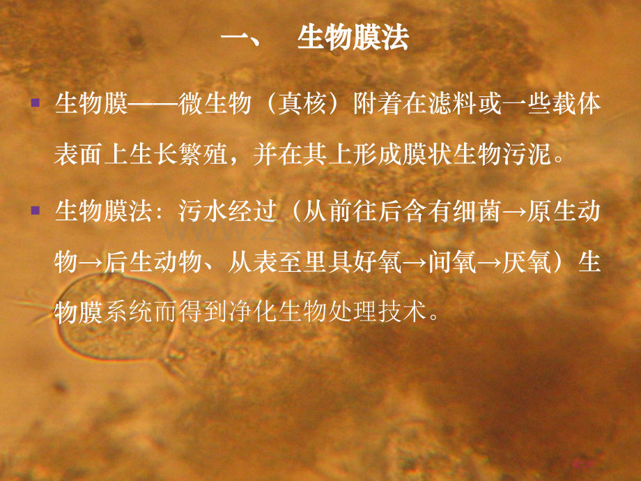 生物膜法原理和应用省公共课一等奖全国赛课获奖课件.pptx_第2页