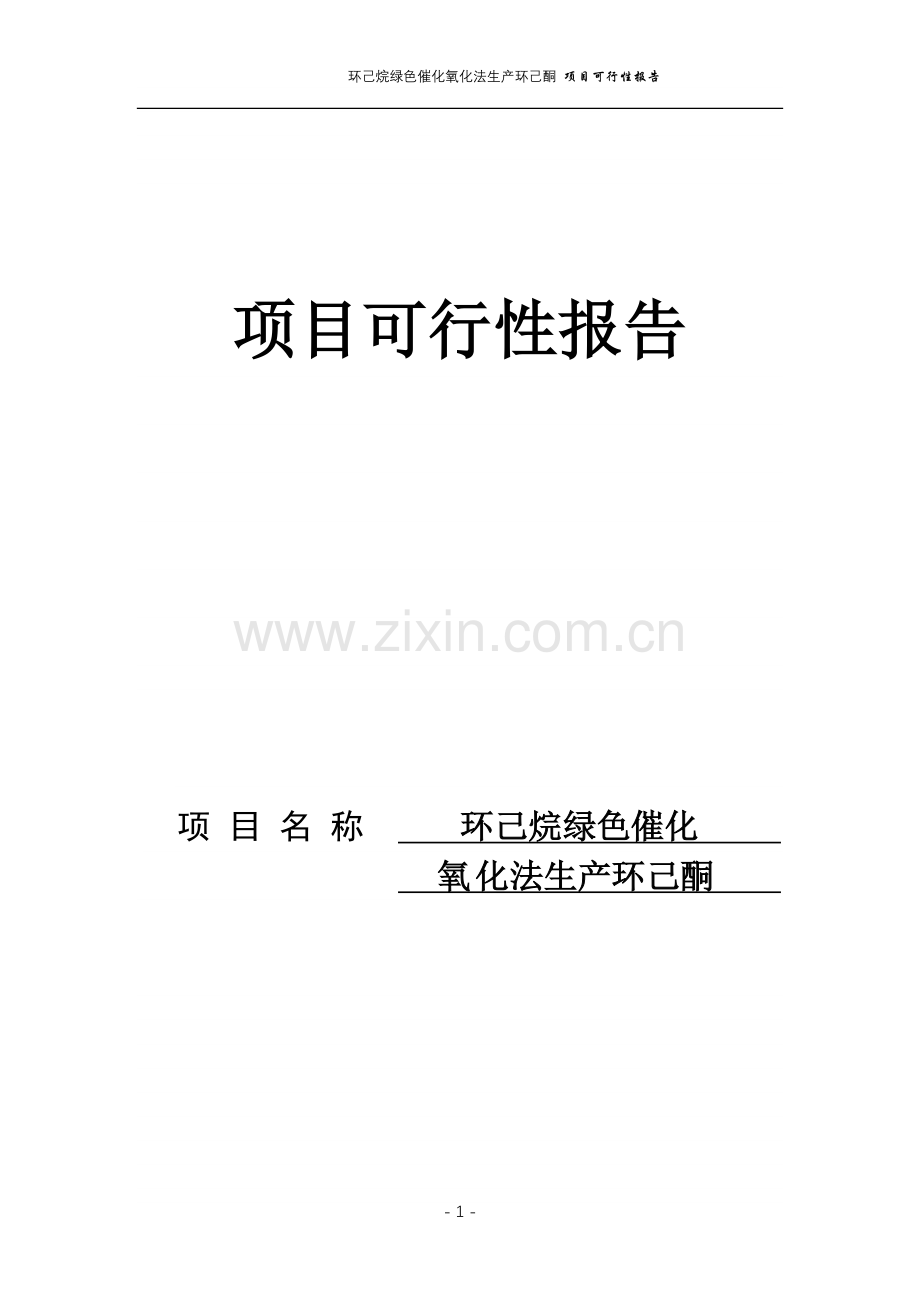 化氧化法生产环己酮项目建设可行性研究报告.doc_第1页