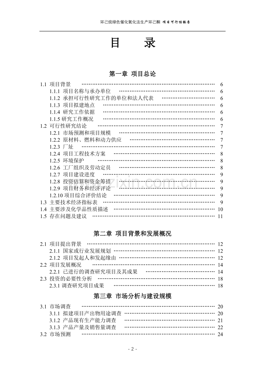 化氧化法生产环己酮项目建设可行性研究报告.doc_第2页