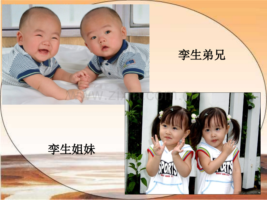 苏教版第十册任丽语文火星地球的孪生兄弟PPT省公共课一等奖全国赛课获奖课件.pptx_第2页