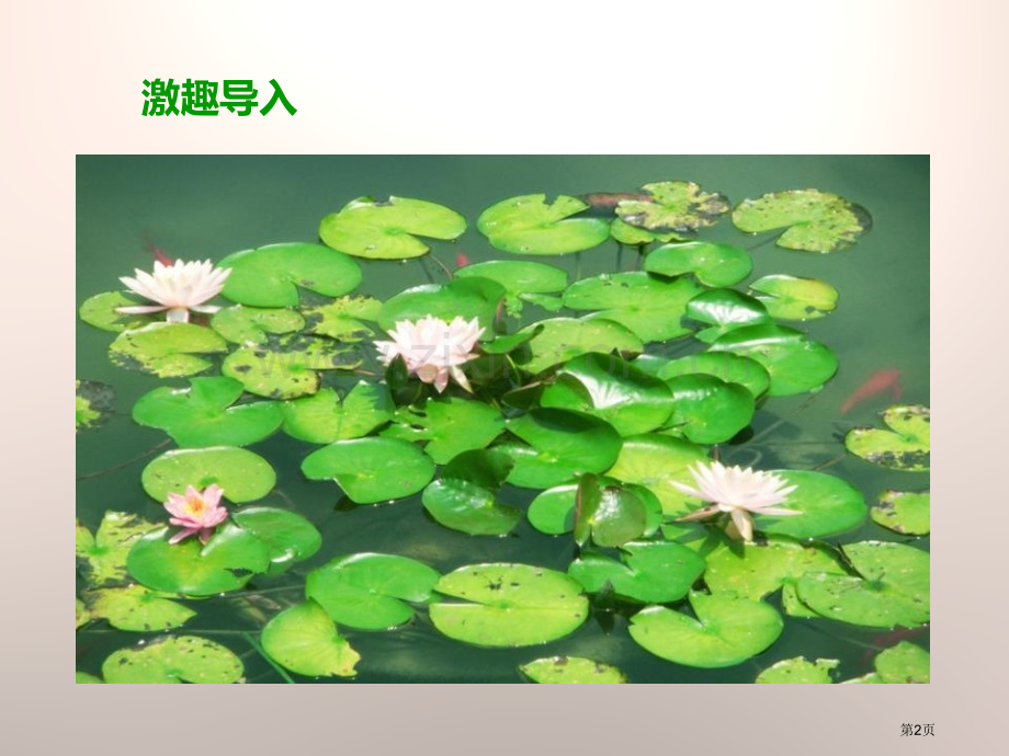 做一个生态瓶生物与环境省公开课一等奖新名师优质课比赛一等奖课件.pptx_第2页