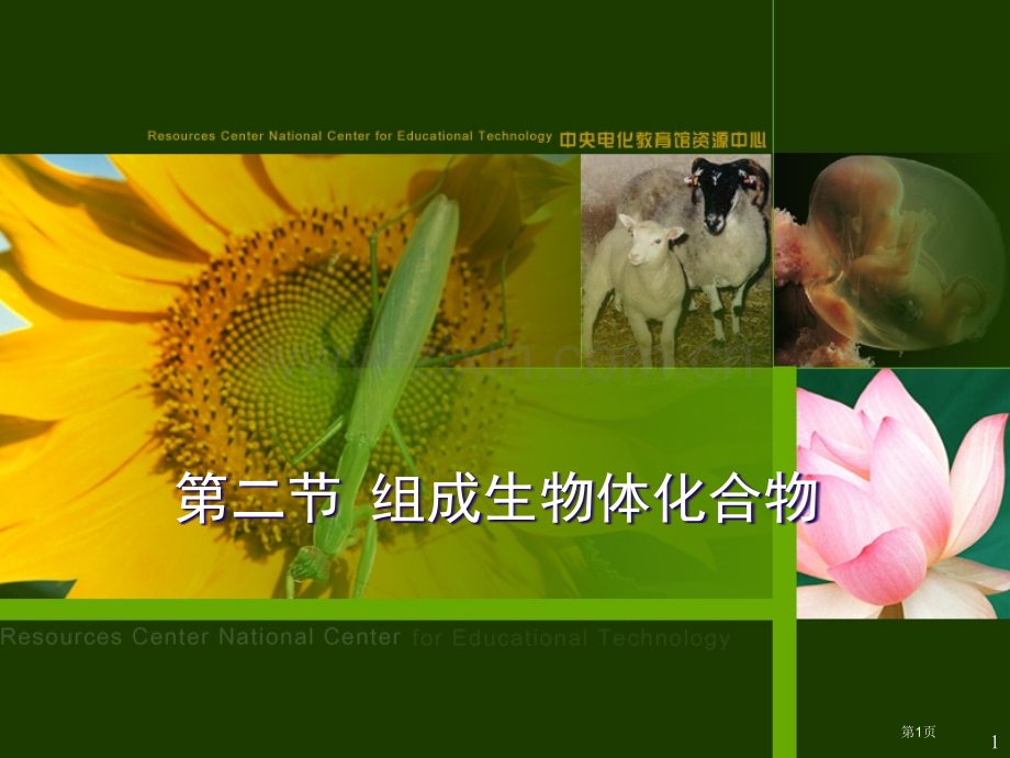 人教版教学组成生物体的化合物上学期省公共课一等奖全国赛课获奖课件.pptx_第1页