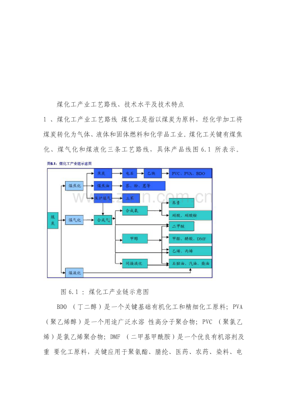 煤化工产业工艺路线与技术水平模板.doc_第1页
