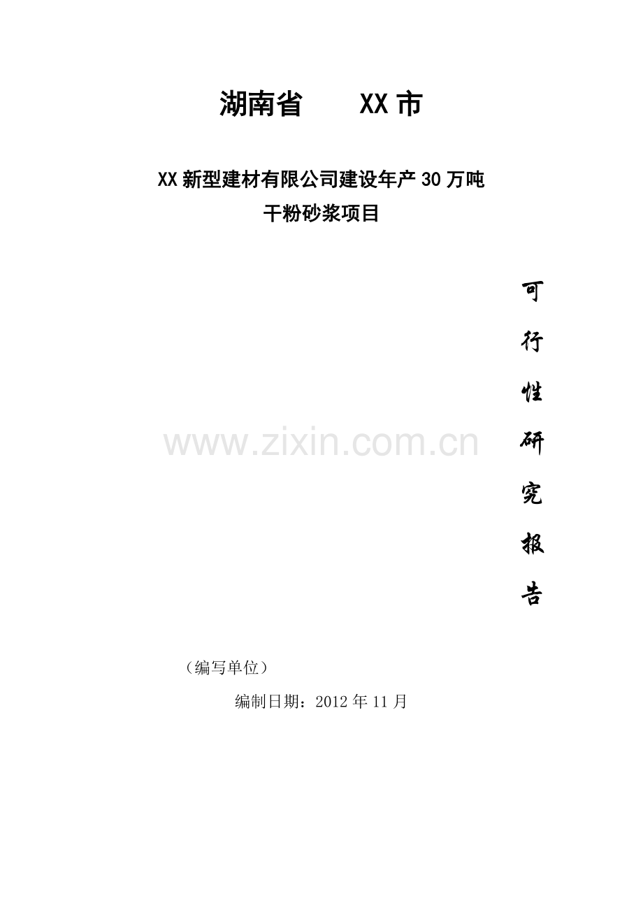 30万吨干粉砂浆项目可行性研究报告.doc_第1页