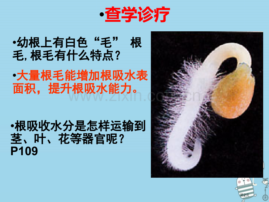 七年级生物上册3.3绿色植物参与生物圈的水循环市公开课一等奖百校联赛特等奖大赛微课金奖PPT课件.pptx_第2页
