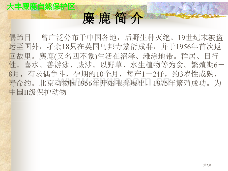 苏教版六年级语文上册麋鹿省公共课一等奖全国赛课获奖课件.pptx_第2页