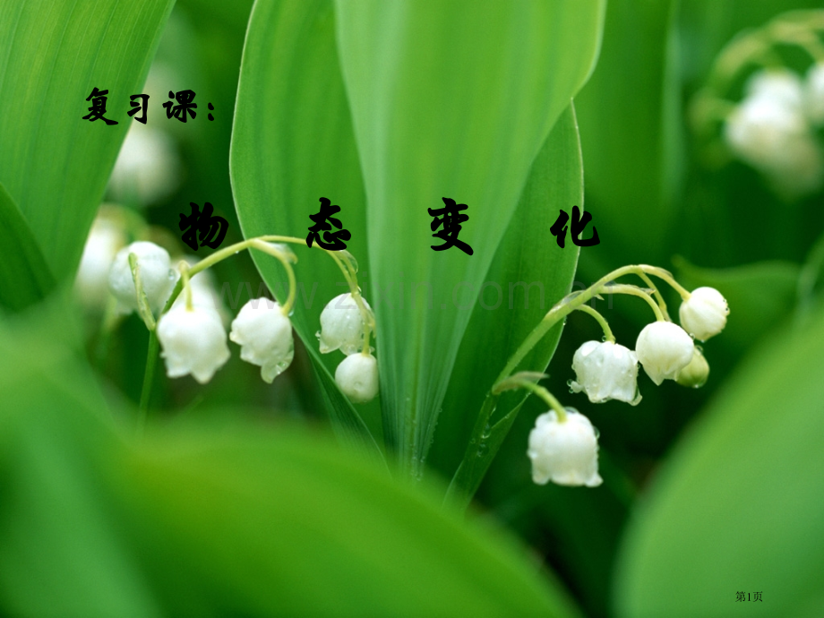 第四章《物态变化》复习课件市公开课一等奖百校联赛获奖课件.pptx_第1页