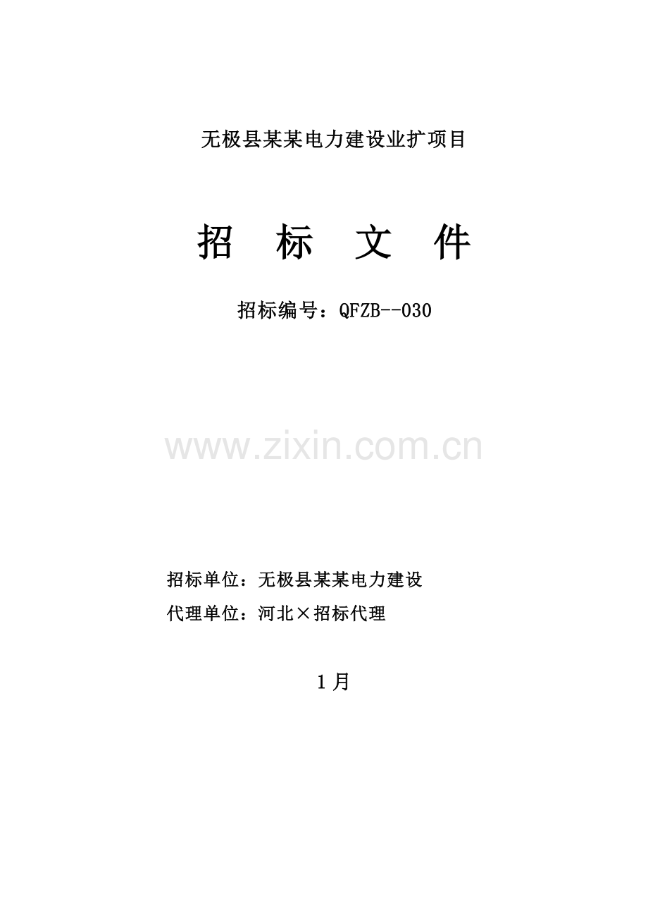 电力建设有限公司业扩项目招标文件模板.doc_第1页