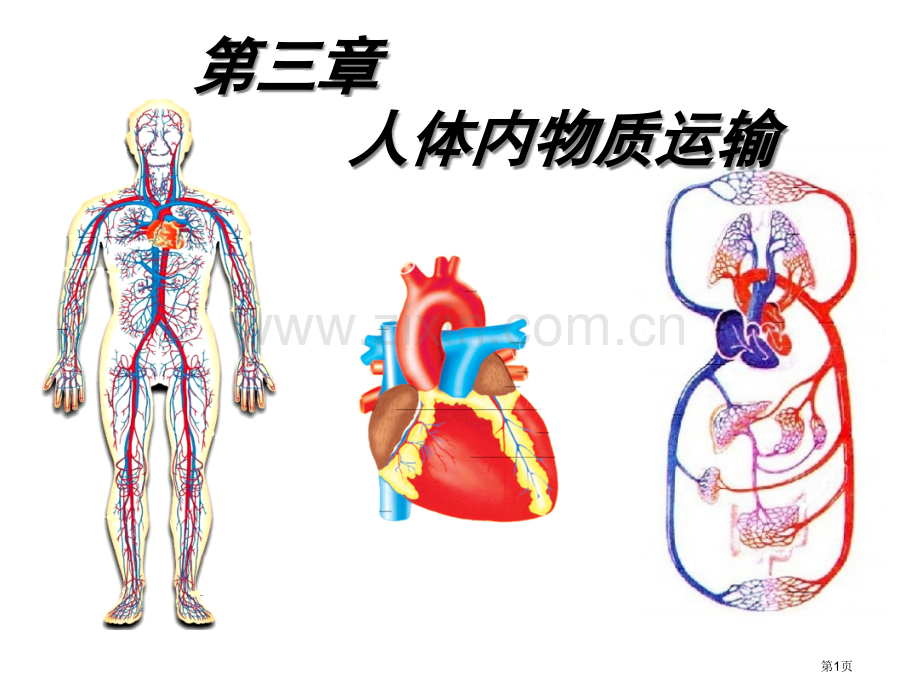 七级下册生物人体内的物质运输市公开课一等奖百校联赛特等奖课件.pptx_第1页
